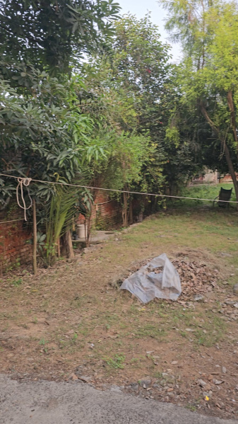 2 BHK 1000 Sq.ft. Farm House for Sale in Sainik Farms, Delhi