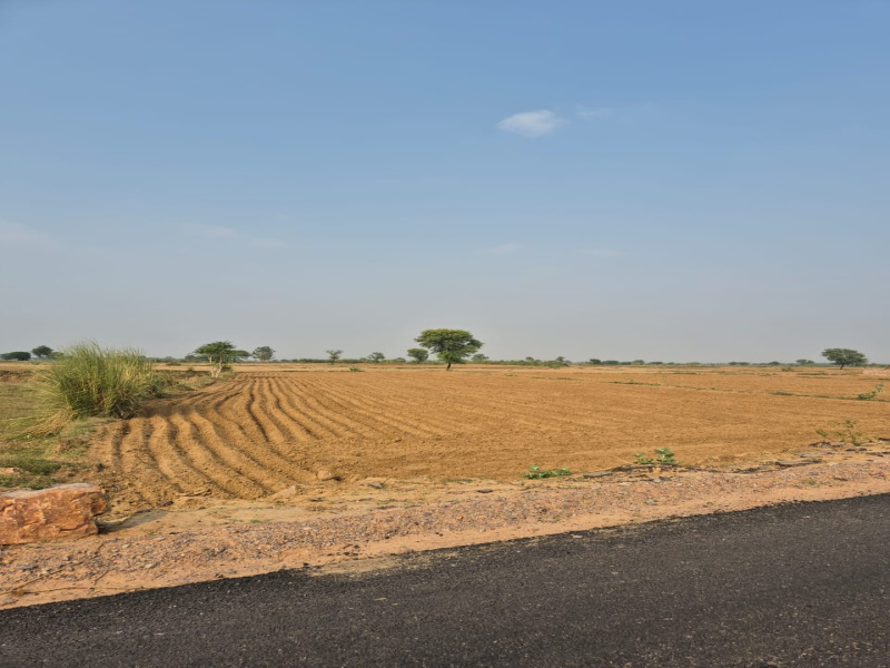 7 BHK 7 Bigha Farm House for Sale in Pahari, Bharatpur