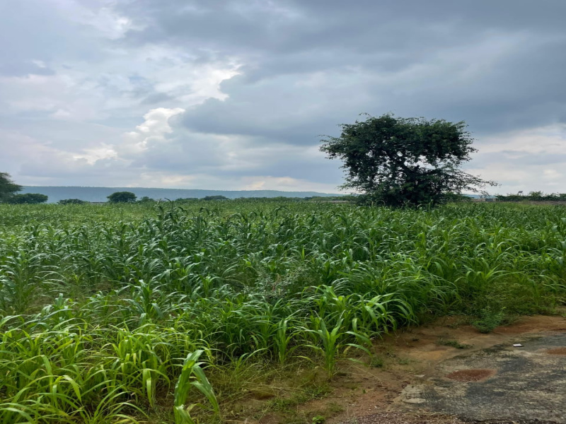 7 BHK 7 Bigha Farm House for Sale in Naugaon, Alwar