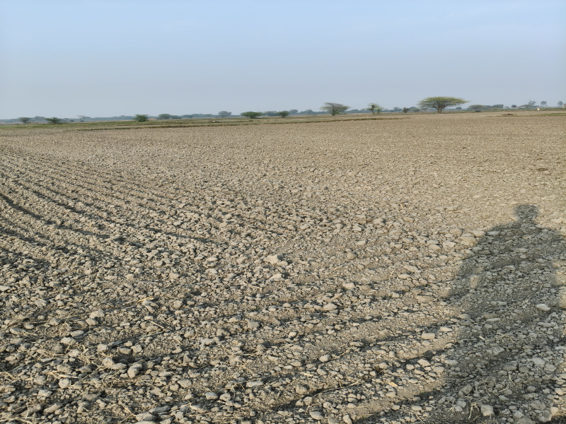 8 BHK 8 Acre Farm House for Sale in Punahana, Nuh