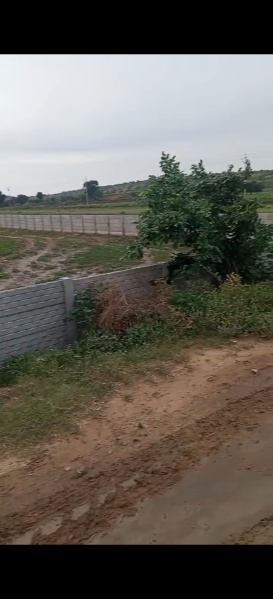 1 BHK 2600 Ares Farm House for Sale in Anand Nagar, Bharatpur