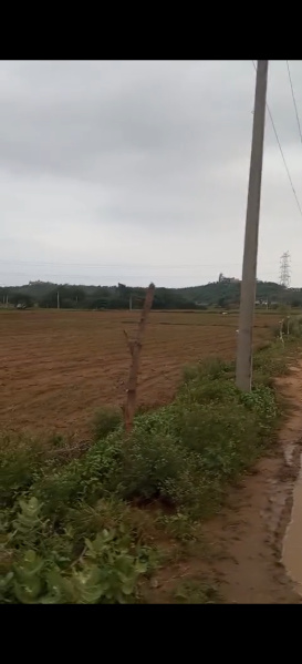 1 BHK 2600 Ares Farm House for Sale in Anand Nagar, Bharatpur