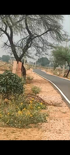 1 BHK 300 Bigha Farm House for Sale in Bayana, Bharatpur