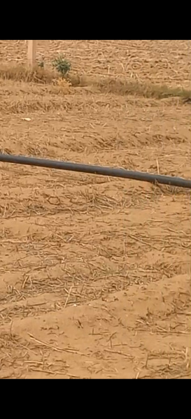 1 BHK 300 Bigha Farm House for Sale in Bayana, Bharatpur