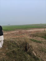 2.5 BHK Farm House for Sale in Pahari, Bharatpur