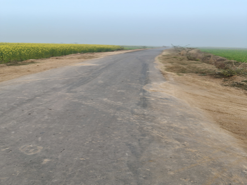 2.5 BHK 17 Bigha Farm House for Sale in Pahari, Bharatpur