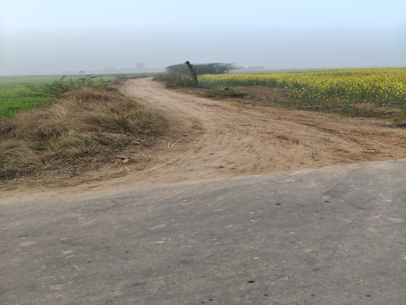 1 BHK 15 Bigha Farm House for Sale in Deeg, Bharatpur