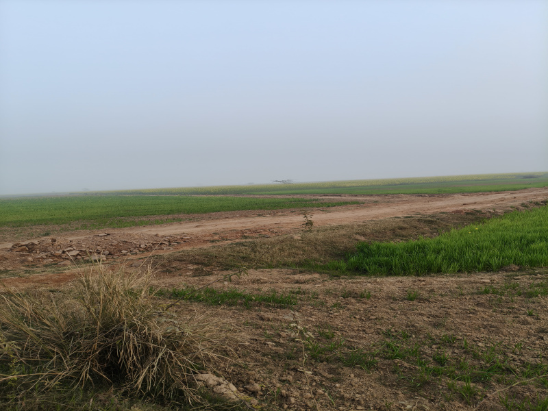 1 BHK 15 Bigha Farm House for Sale in Deeg, Bharatpur