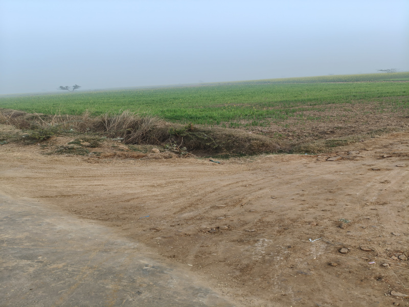 1 BHK 15 Bigha Farm House for Sale in Deeg, Bharatpur