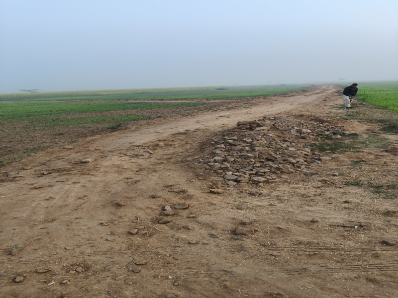 9 BHK 30 Bigha Farm House for Sale in Deeg, Bharatpur