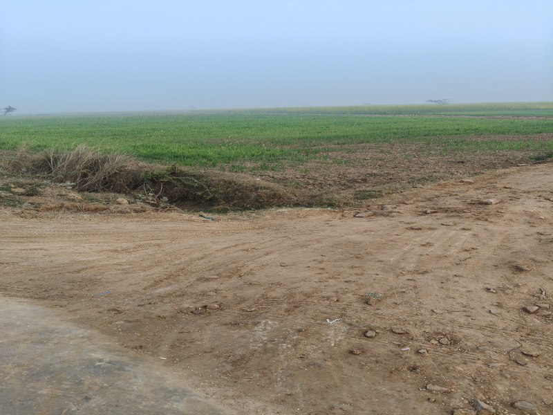 1 BHK 6 Acre Farm House for Sale in Tauru, Nuh