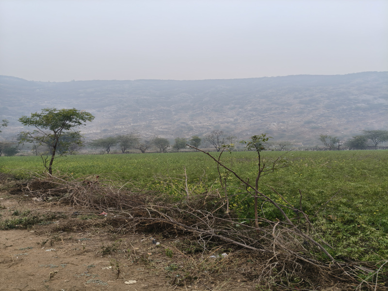 1 BHK 10 Acre Farm House for Sale in Nalhar, Nuh