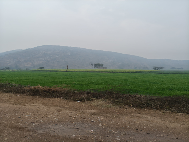 1 BHK 10 Acre Farm House for Sale in Nalhar, Nuh