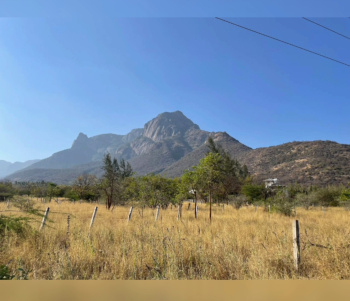  Residential Plot for Sale in Pannimadai, Coimbatore