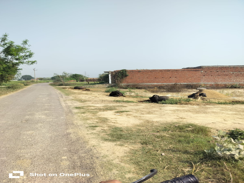 Khatu, Sikar photo 2