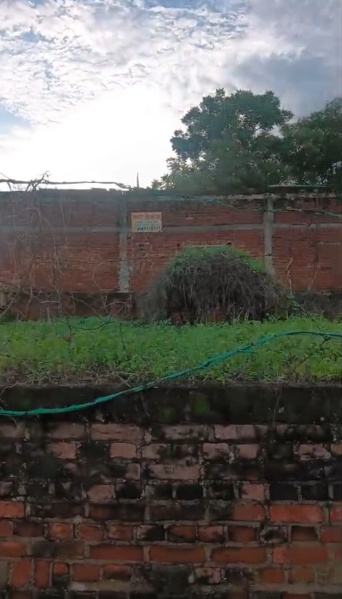 Residential Plot 2320 Sq.ft. for Sale in Barua, Jhansi