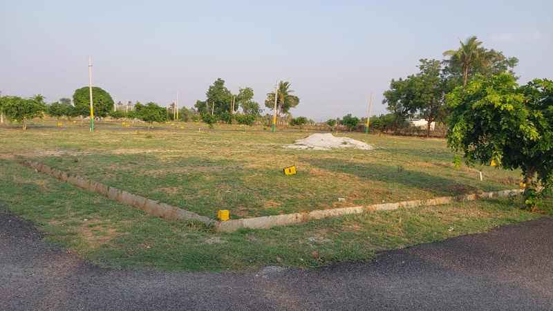 1200 Sq.ft. Residential Plot for Sale in Gauribidanur, Bangalore