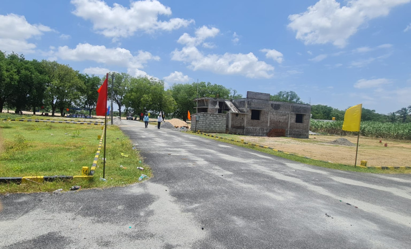  Residential Plot 1200 Sq.ft. for Sale in Katpadi, Vellore
