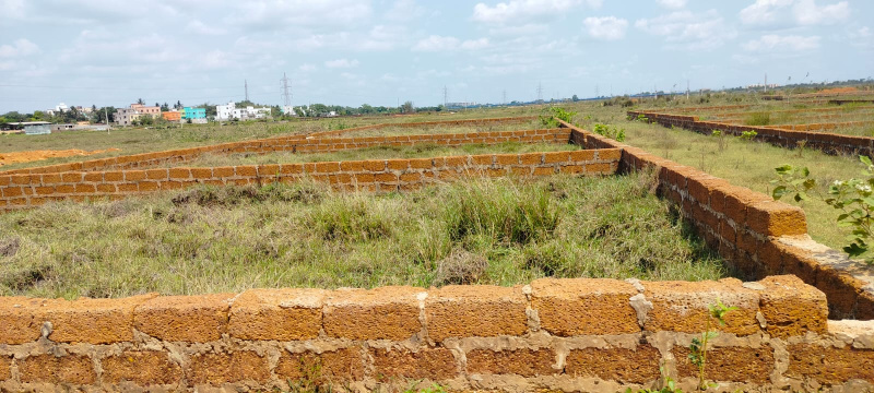 Residential Plot 1200 Sq.ft. for Sale in Aiginia, Bhubaneswar