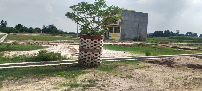  Residential Plot 1000 Sq.ft. for Sale in Allahabad Cantt
