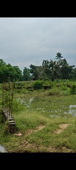 4 Acre Agricultural/Farm Land for Sale in Pari Chowk, Greater Noida