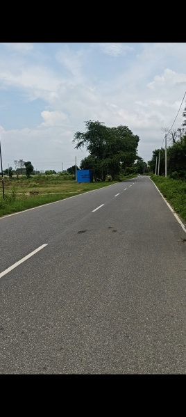 4 Acre Agricultural/Farm Land for Sale in Pari Chowk, Greater Noida