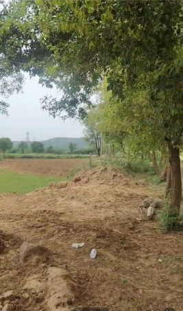  Residential Plot 990 Sq.ft. for Sale in Sohna Palwal Road, Gurgaon