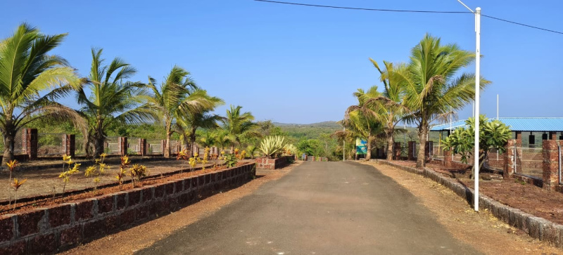 5402 Sq.ft. Residential Plot for Sale in Kankavli, Sindhudurg
