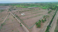  Residential Plot for Sale in Baramati, Pune