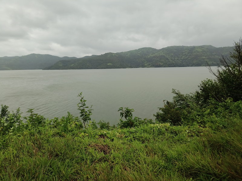  Agricultural Land 85 Guntha for Sale in Lavasa City, Pune