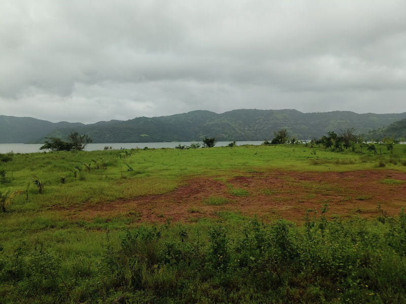  Agricultural Land 85 Guntha for Sale in Lavasa City, Pune