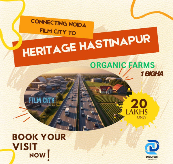 1 RK Farm House 1 Bigha for Sale in Hastinapur, Meerut