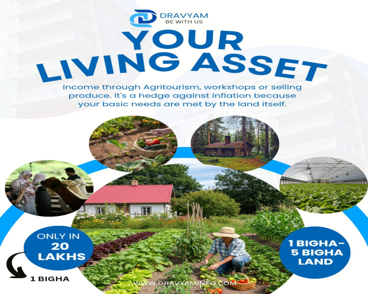 1 RK Farm House 1 Bigha for Sale in Hastinapur, Meerut