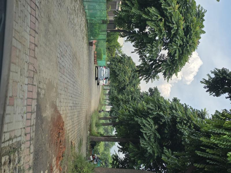  Residential Plot 375 Sq. Yards for Sale in Ashiana Colony, Dera Bassi