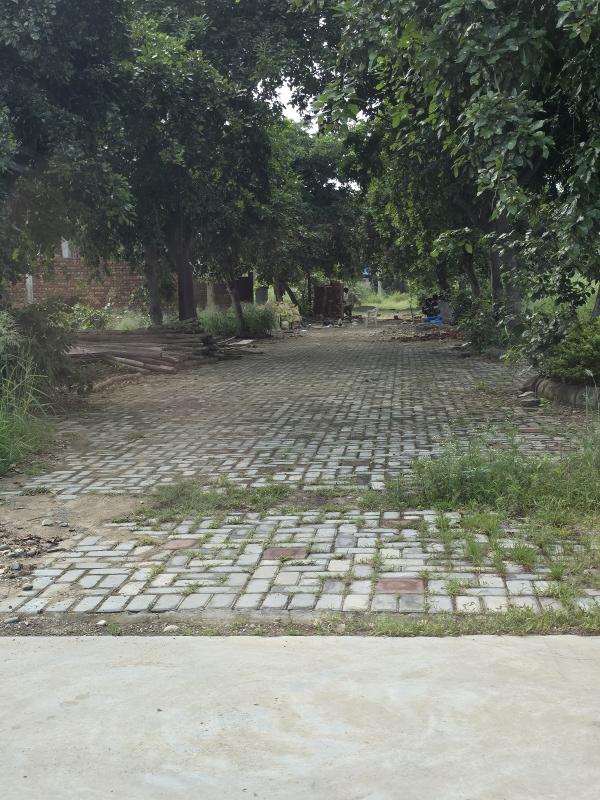  Residential Plot 375 Sq. Yards for Sale in Ashiana Colony, Dera Bassi