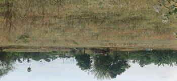  Residential Plot for Sale in Perumanallur, Tirupur