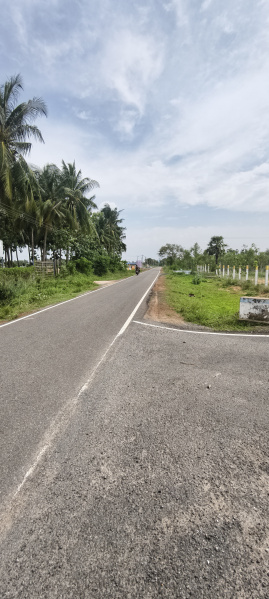  Residential Plot 1500 Sq.ft. for Sale in Vallam, Thanjavur