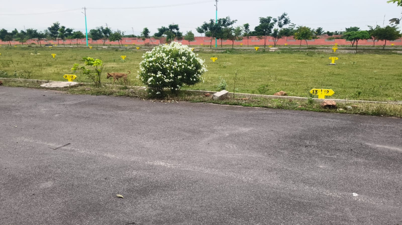  Residential Plot 1453 Sq.ft. for Sale in Vidya Nagar, Bellary