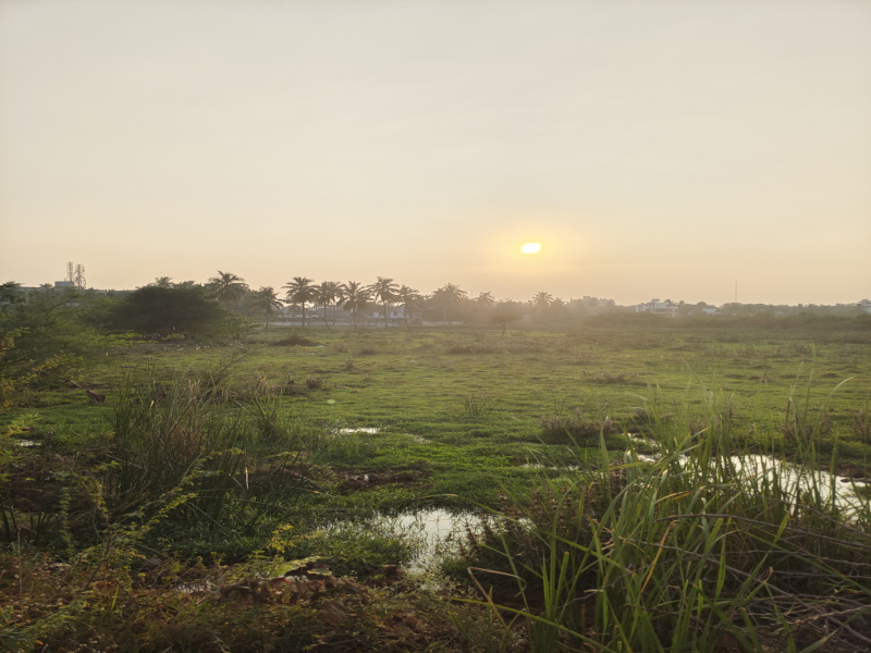  80 Cent Agricultural/Farm Land for Sale in Hospet, Bellary