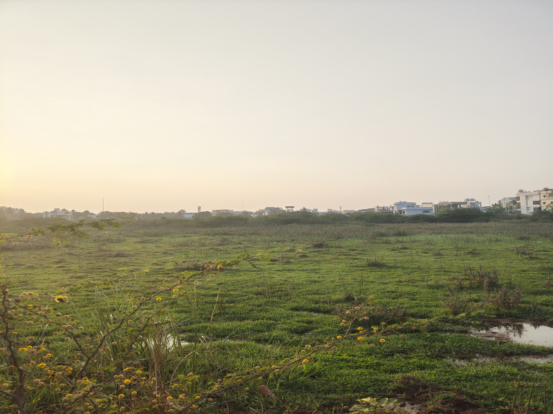  80 Cent Agricultural/Farm Land for Sale in Hospet, Bellary