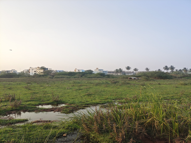 80 Cent Agricultural/Farm Land for Sale in Hospet, Bellary