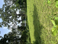  Residential Plot for Sale in Daltonganj, Palamu