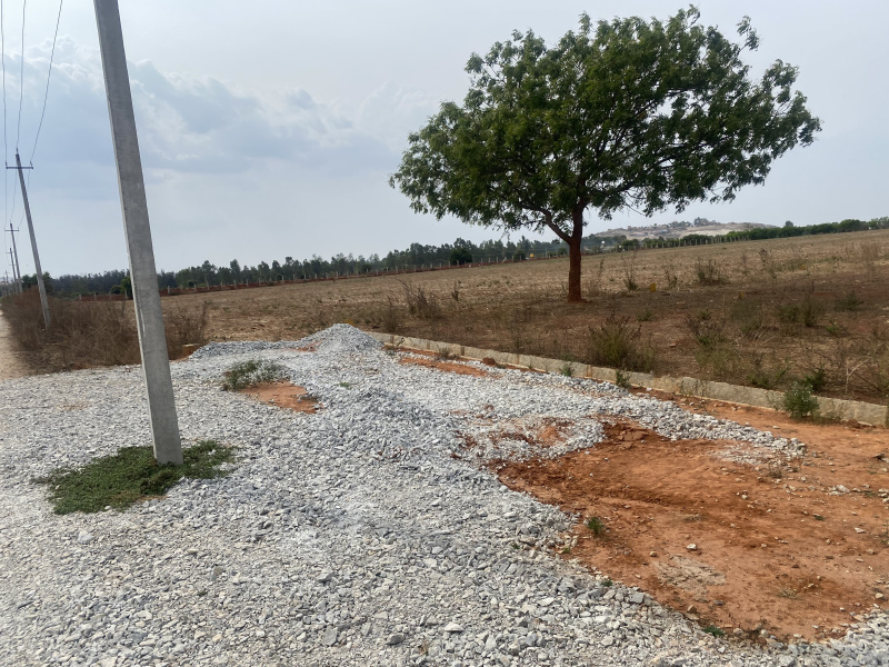  Agricultural Land 60 Ares for Rent in Yelahanka, Bangalore