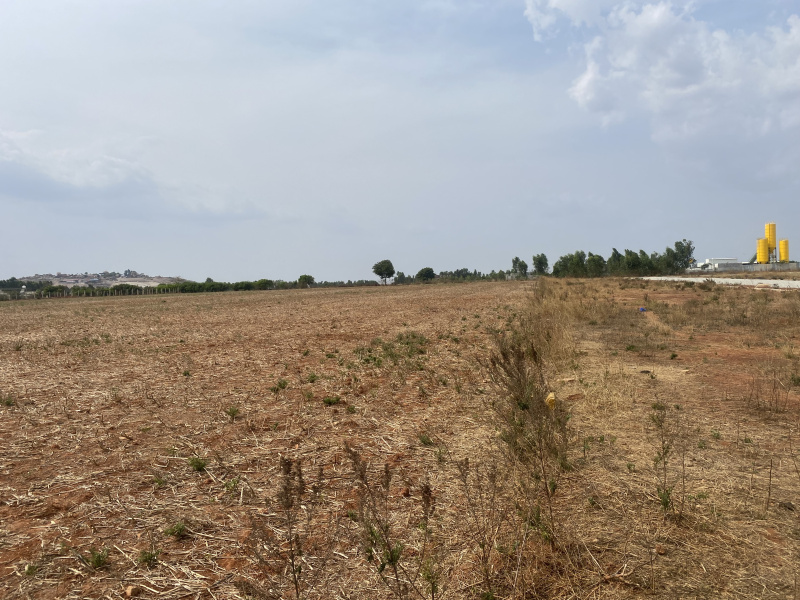  Agricultural Land 60 Ares for Rent in Yelahanka, Bangalore