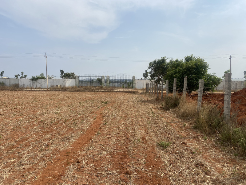  Agricultural Land 60 Ares for Rent in Yelahanka, Bangalore