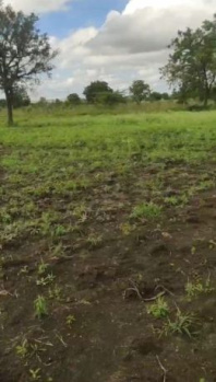 Residential Plot for Sale in Kandi, Sangareddy