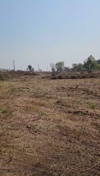 Shankarpally, Rangareddy photo 2