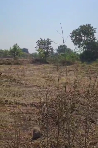 Shankarpally, Rangareddy photo 3