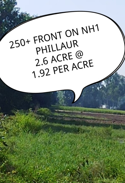  Agricultural Land 3 Acre for Sale in Phillaur, Jalandhar