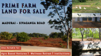  Residential Plot for Sale in Aranmanai Vaasal, Sivaganga